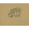 thumbnail image 2 of Raden Saleh 18x15 Gold Ornate Wood Frame and Double Matted Museum Art Print Titled - Head of a Tiger (1847), 2 of 4