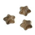 thumbnail image 3 of seldo de colores de primera para sellos , sobres, Bronce Macarena Forma de estrella, 3 of 7