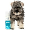 thumbnail image 5 of hownd Playful Pup Conditioning Shampoo for Puppies and Adult Dogs with Sensitive Skin - Made with Rose & Lemongrass - Moisturizing Deep Clean Shampoo - Vegan, Cruelty-Free, No Junk Ingredients - 8.5o, 5 of 6