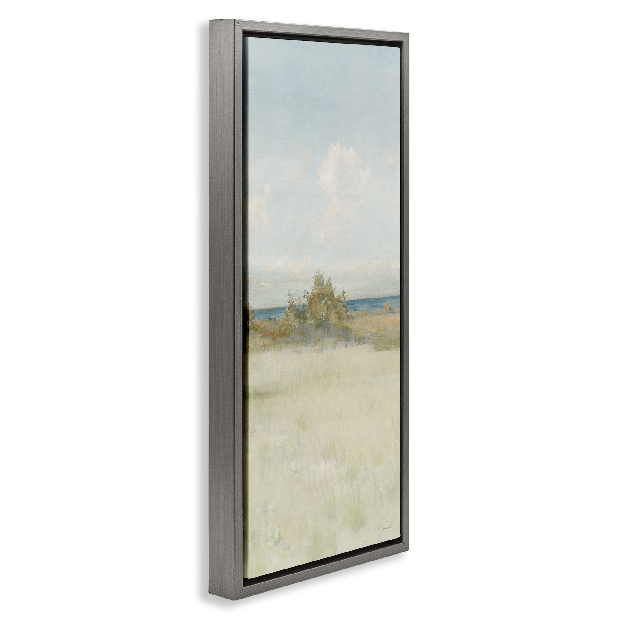Stupell Industries Vegetation on Beach Landscape Painting Gray Floater Framed Canvas Art Print Wall Art, 11 x 25