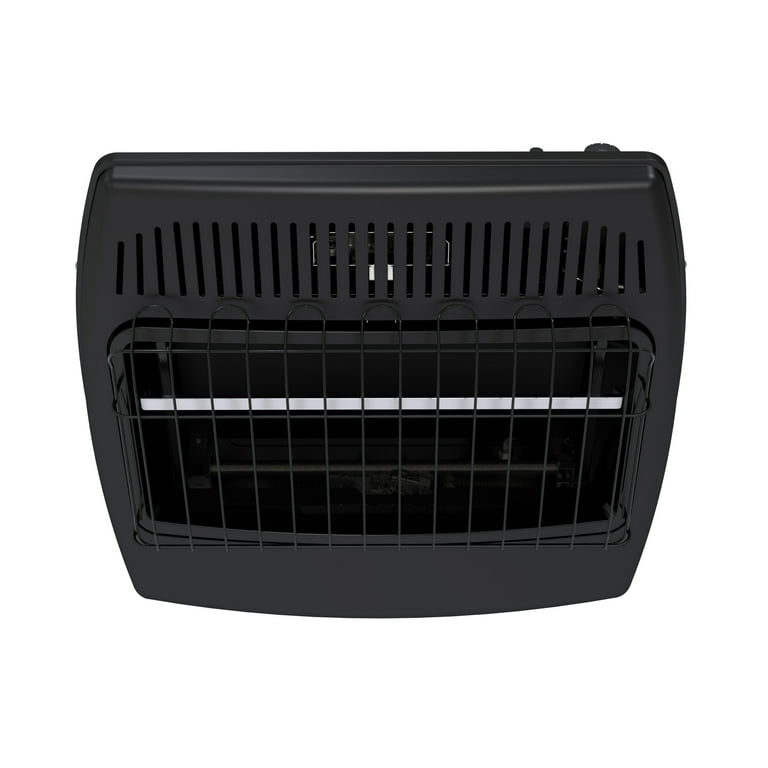 Dyna-Glo GBF30DTDG-2 30,000 BTU Blue Flame Dual Fuel Vent Free