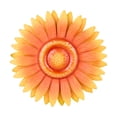 thumbnail image 1 of Mainstays Yellow Flower Wall Art, 1 of 8