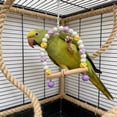 thumbnail image 6 of KOYPTL Wooden Bird Swing with Bells for Cockatiels Parrot Perch Hanging Toys,Birdcage Stands Cage Ground Play Gyms Accessories,Colorful Beads Climbing Toy for Lovebirds Conures Budgies Easter Decor, 6 of 6