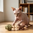 thumbnail image 4 of LOWLHOME 2026 New Creative Fish Bone Cat Dental Chew Toy, Natural Catnip & Silvervine Teeth Cleaning Stick, Interactive Kitten Chew Playthings, for Cats Teeth Cleaning (Mixed Flavors,1pcs), 4 of 8