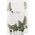 thumbnail image 2 of Enveloppe Parfumée pour Tiroirs et Placards Lot de 12 (Lilas), 2 of 5