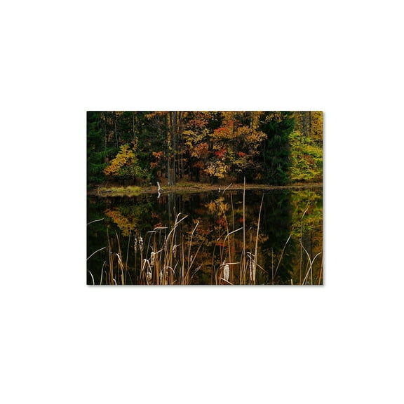 Trademark Fine Art "Beautiful Memory" Canvas Wall Art by Kurt Shaffer
