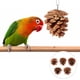 thumbnail image 2 of FELTECHELECTR 10 juguetes para masticar loros, juguetes colgantes para buscar comida, piñas para rasgar loros, 2 of 5