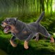thumbnail image 3 of Kid Educational Toy Cute Dog Model Simulation Miniature Animal Home Decor, 3 of 4