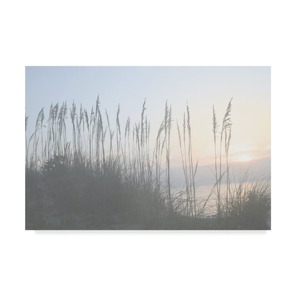 Trademark Fine Art 'Morning Whisper I' Canvas Art by Sharon Chandler