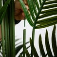 thumbnail image 4 of Nearly Natural Artificial Paradise Palm Potted Tree - 9' - Green, 4 of 8