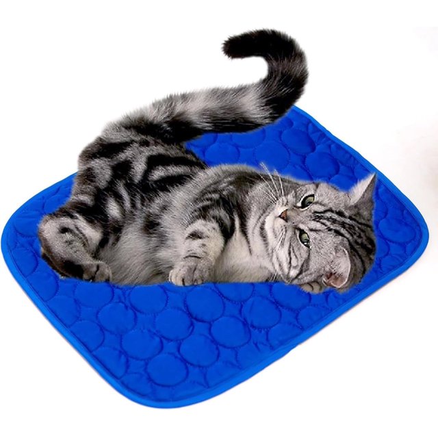 Summer Cooling Mat & Sleeping Pad- Water Absorption Top, Materials Safe, Easy Carry, EZ Clean. Keep Cooling for Pets, Kids and Adults.(Navy Blue, 28" x 22")