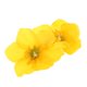 thumbnail image 1 of unbranded Accesorio Para Floral Amarillo Con Clip Lateral Estable Para Uso, 1 of 6