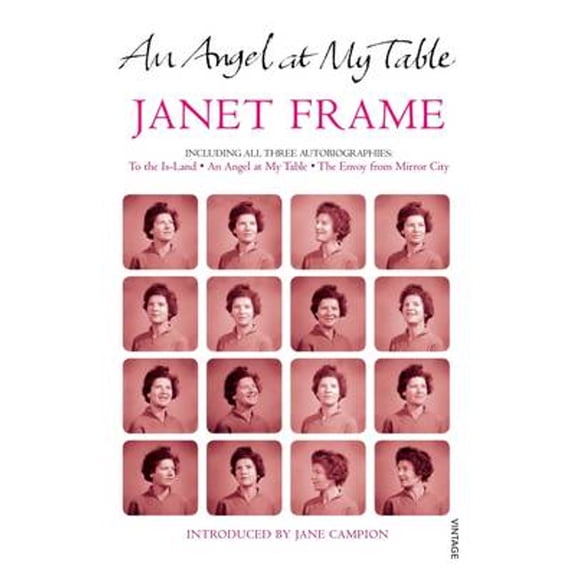 Pre-Owned An Angel at My Table (Paperback) 1869411323 9781869411329