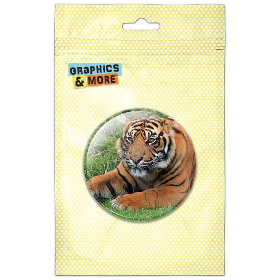 Tiger Resting Pinback Button Pin Badge