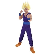Child Gohan Costume