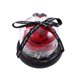 thumbnail image 1 of Corazón cúpula de cristal yeacher simulación rosa Flor Cadena luz decoración regalo del Día de San Valentín rojo rosa, 1 of 8