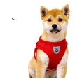thumbnail image 1 of Arnés Perro O Gato Tela Ajustable Con Correa Chihuahua Db, 1 of 7