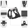 thumbnail image 6 of Lsque Cats Group Dog Harness, No-Pull Pet Harness with 2 Leash Clips, Adjustable Soft Padded Dog Vest with Easy Control Handle for Large Dogs-Medium, 6 of 9