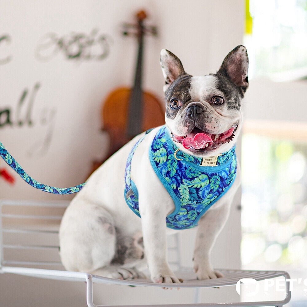 Didog Floral No Pull Dog Harness & Walking Leash & Adjustable Dog Collar Soft Mesh Pad Vest For Small Medium Large Dogs