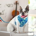 thumbnail image 3 of Didog Floral No Pull Dog Harness & Walking Leash & Adjustable Dog Collar Soft Mesh Pad Vest For Small Medium Large Dogs, 3 of 3