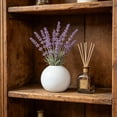 thumbnail image 4 of Jarrón de plástico para flores secas, plantas y pampas: pequeño jarrón decorativo para mesa de centro, mesa de comedor, escritorio o estante., 4 of 6