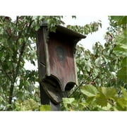 Heart and Eagle 1432 Cathedral Bat Home 2 Chamber