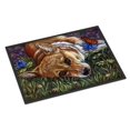 thumbnail image 1 of "Caroline's Treasures 7325JMAT Alfombrilla Corgi Pastel Mariposa para interiores o exteriores, 24 x 36", multicolor Caroline's Treasures 7325JMAT, 1 of 1