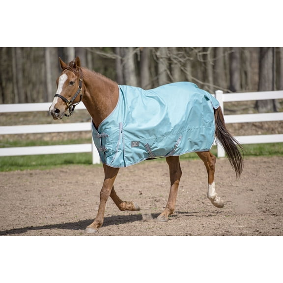 TuffRider 600 D Comfy Winter Standard Neck Turnout Sheet- Turquoise- 69