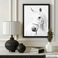thumbnail image 3 of Poster Master White Horse Poster - Portrait Print - Photography Art - Black & White Art - Animal Art - Pony Art - Stallion Art - Equestrian Art - Living Room or Bedroom Decor - 8x10 UNFRAMED, 3 of 4