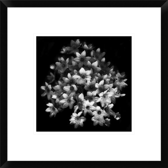 Global Gallery Yvette Depaepe 'Early Sensation' Framed Wall Art