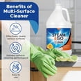 thumbnail image 6 of STEAM AND GO Multi-Purpose Cleaner and Stain Remover, All Purpose Cleaner, Orange Scent, 1 gal, 6 of 7