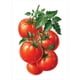 thumbnail image 1 of Cuadros Decorativos (DF4324) 5D DIY taladro completo diamante pintura fruta bordado mosaico Craft Kit (w374) 20X30cm Ndcxsfigh Nuevos Originales, 1 of 1