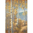 thumbnail image 2 of John Macnab 28x40 Gallery Wrapped Canvas Wall Art Titled - Aspen Forest I, 2 of 4