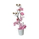thumbnail image 3 of Jarrón flores artificiales en maceta, moderno, con púas, flores artificiales en maceta, bonsái secas para el hogar, oficina y el escritorio. Rosa, 3 of 8