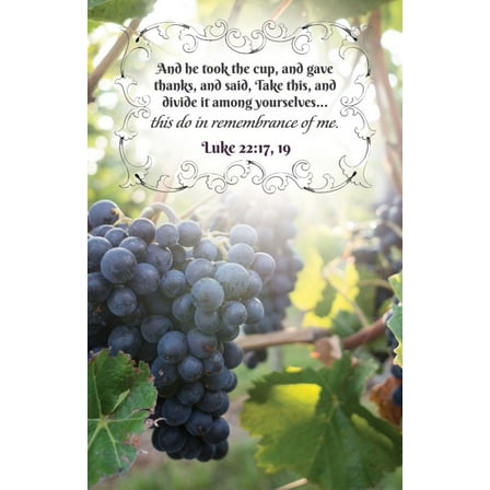 B&H Publishing  Communion & He Took The Cup & Gave Thanks Luke 2217 19 KJV Bulletin - Pack of 100