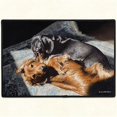 thumbnail image 1 of Fiddlers Elbow d115 Partners In Crime Dachshund Doormat, 1 of 1