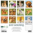 thumbnail image 2 of Goldens 2026 12 X 12 Wall Calendar, (Hardcover), 2 of 5