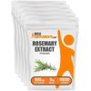 BulkSupplements Rosemary Extract Powder - 500mg per Serving - 5 Kilograms (11 lbs) - 10000 Servings