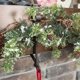 thumbnail image 5 of Garland Holder for Mantels Up to 8.5inch Thick, 5 of 5