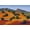 Unframed, variant on Art.com Juniper Hills Art Print by Mary Silverwood, 24" x 16"