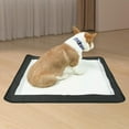 thumbnail image 4 of Soporte para almohadilla de entrenamiento, resistente a arañazos, para caja de arena para perros, ideal para conejos. Grande, 4 of 7