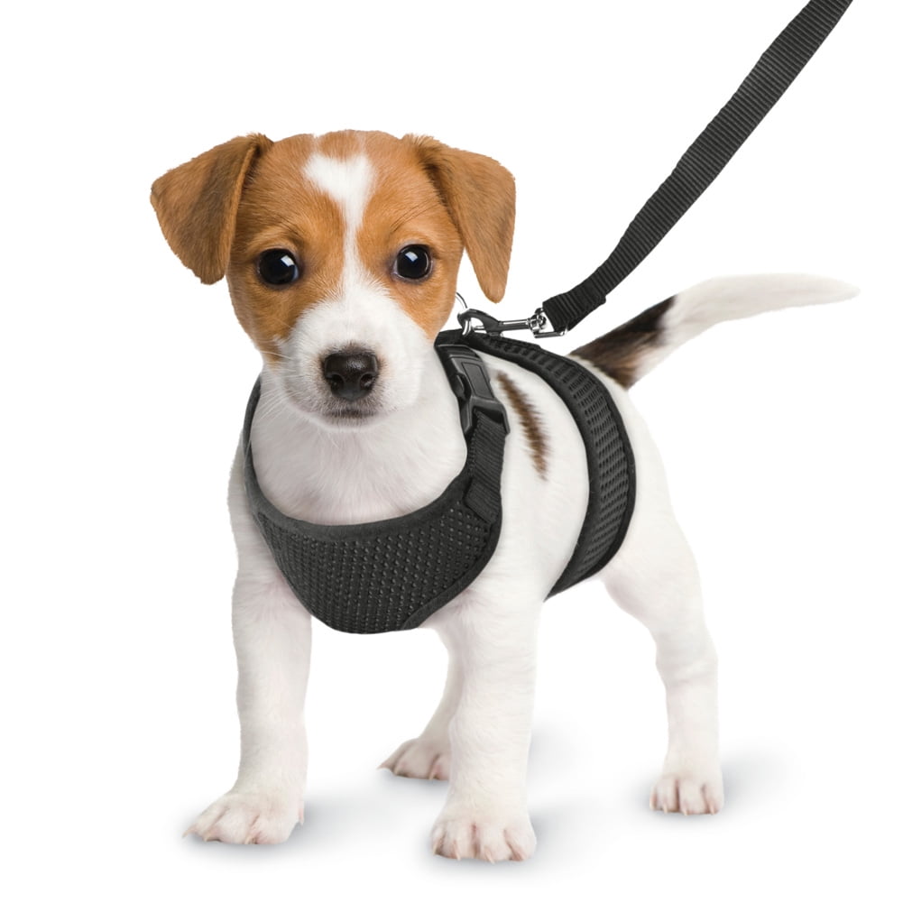 toy dog harness vest