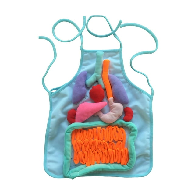 Baohd Internal Organs Model Kids Educational Tool 3D Organ Apron Fun Learning Aid Awareness For Children Human Organs Apron blue 30.8x35.7cm