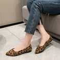 thumbnail image 5 of Fesfesfes Womens Shoes Pointed Toe Fashion Pointed Toe Shoes Solid Color Casual Comfortable Leopard Print Flat Shoes 35(4.5), 5 of 5