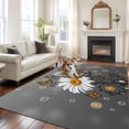 thumbnail image 2 of Daisy Butterfly Area Rugs 5'x8', Washable Small Throw Rugs for Classroom Bedroom, Spring Floral Butterflies Grey Modern Art Indoor Outdoor Rug Non-Slip Low Pile Carpet Runner Reversible Floor Mats, 2 of 8