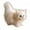 A, variant on ievspot Simulation Cat Ornament Realistic Plush Kitty Toy Faux Fur Animals Model Furry Cat Doll Gift for Kids Cat Lovers