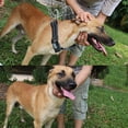 thumbnail image 5 of Apuakthei Collar de perro impermeable, collar de perro ajustable con bloque de color, adecuado para uso diario en entrenamiento, 5 of 5