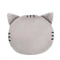 thumbnail image 3 of Muñecas TXT de 9,8 pulgadas, almohada Kpop Soobin Beomgyu PPULBATU, juguete de peluche de Animal bonito, regalo de cumpleaños para niños, 3 of 5