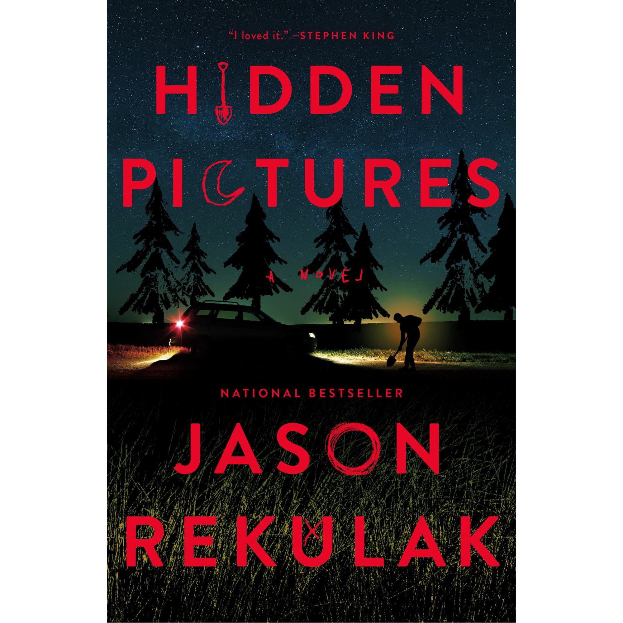 Hidden Pictures: A Novel (Paperback)