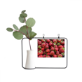 thumbnail image 1 of Foto de fresas frescas frutas rojas Marco De Metal Florero De Cerámica Decoración, 1 of 4